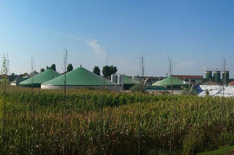 Biogas: importante risorsa per le aziende zootecniche