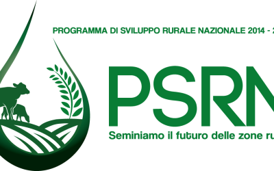 PSRN 2014-2022: costruire un futuro più competitivo per le nostre imprese – 07 giugno 2023, Roma
