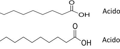 Acido Grasso Miristico: C14:0 e Acido Grasso Palmitico: C16:0