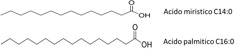Acido Grasso Miristico: C14:0 e Acido Grasso Palmitico: C16:0