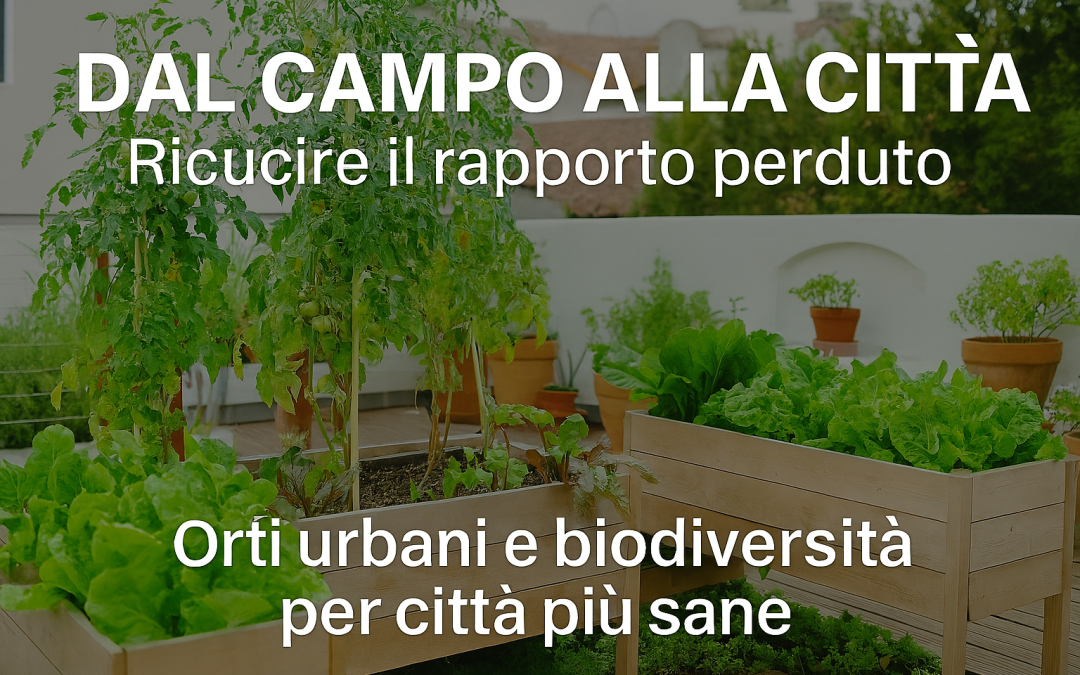 Dal campo alla città: ricucire il rapporto perduto