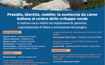 Presidio, identità, reddito: la zootecnia da carne italiana al centro dello sviluppo rurale