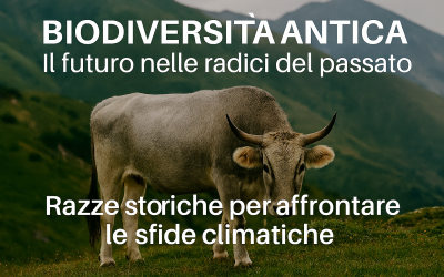 Il futuro è nella biodiversità antica