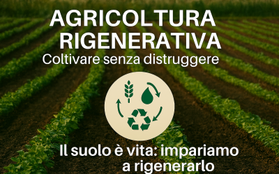 Agricoltura rigenerativa: coltivare senza distruggere