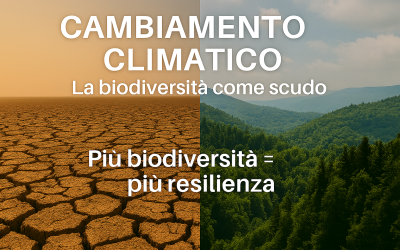 Cambiamento climatico: la biodiversità come scudo