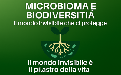 Microbioma e biodiversità: il mondo invisibile che ci protegge